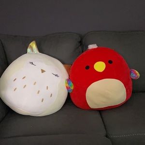 Meet your Posher, Bo